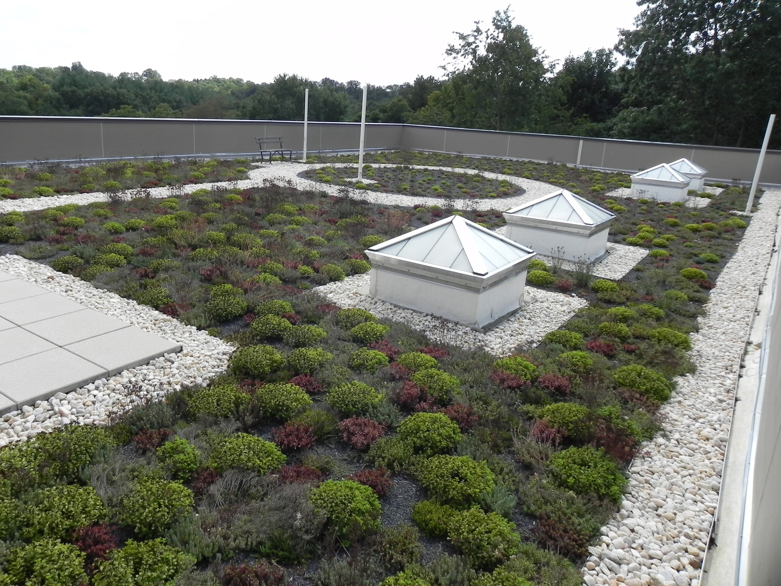 Green Roof